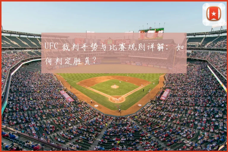 UFC 裁判手势与比赛规则详解：如何判定胜负？